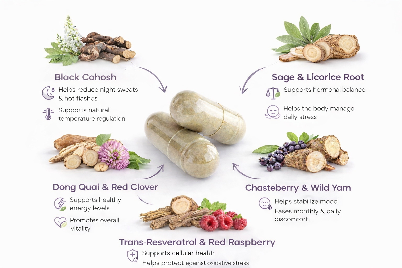 BALANCE Menopause & Midlife Support Formula